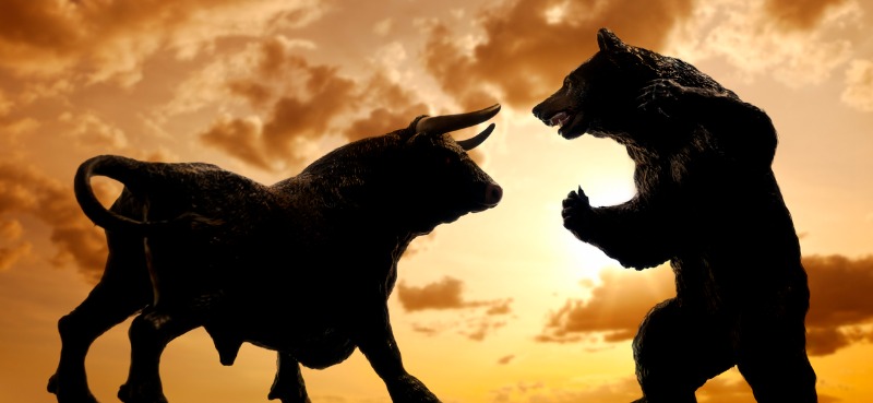 bull bear stock market